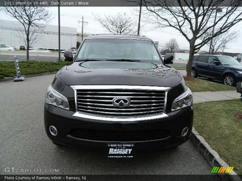 Dark Currant / Wheat 2011 Infiniti QX 56 4WD