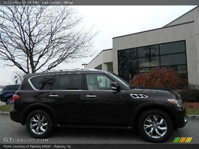 Dark Currant / Wheat 2011 Infiniti QX 56 4WD