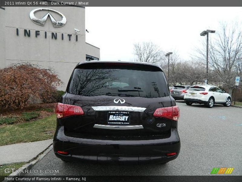 Dark Currant / Wheat 2011 Infiniti QX 56 4WD