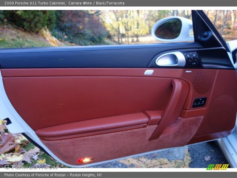 Door Panel of 2009 911 Turbo Cabriolet