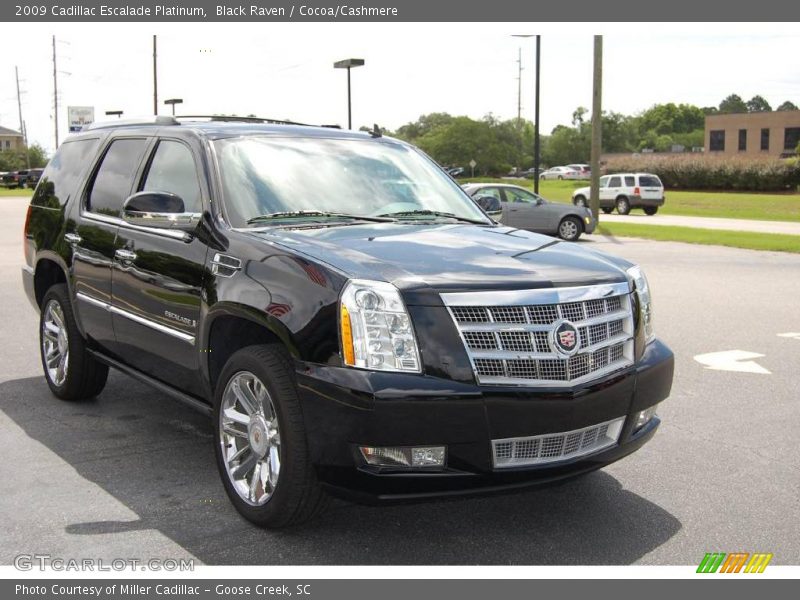 Black Raven / Cocoa/Cashmere 2009 Cadillac Escalade Platinum