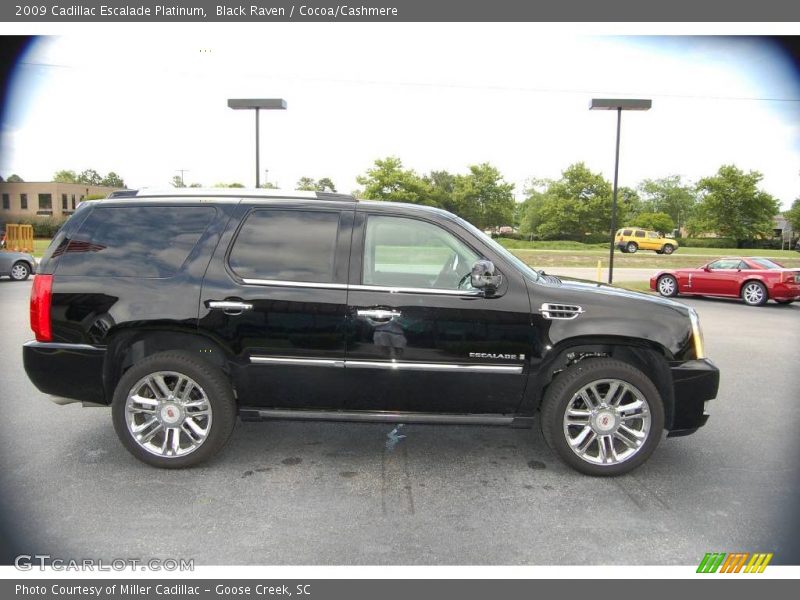 Black Raven / Cocoa/Cashmere 2009 Cadillac Escalade Platinum