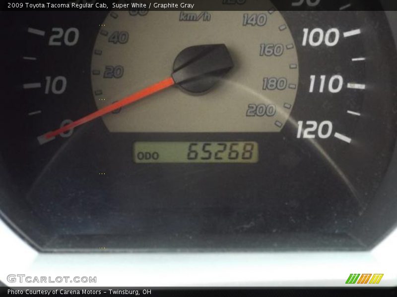 Super White / Graphite Gray 2009 Toyota Tacoma Regular Cab