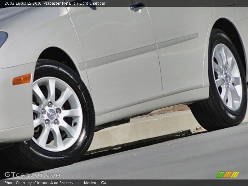 Alabaster Metallic / Light Charcoal 2003 Lexus ES 300