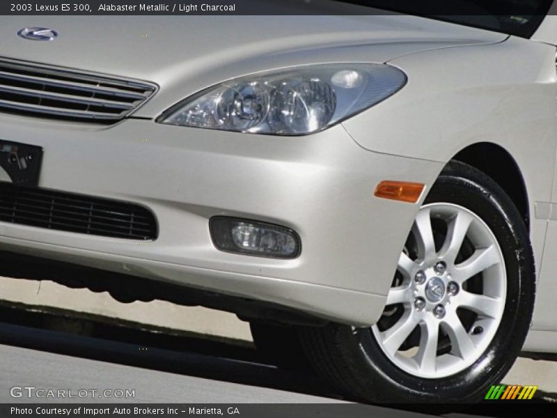 Alabaster Metallic / Light Charcoal 2003 Lexus ES 300