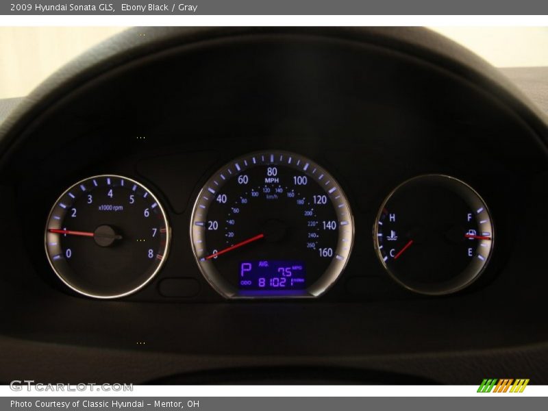 Ebony Black / Gray 2009 Hyundai Sonata GLS