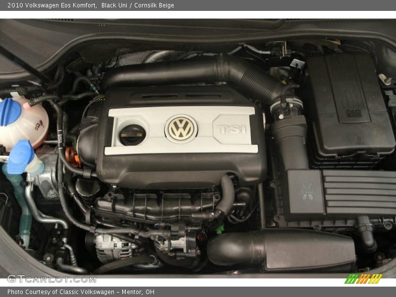 Black Uni / Cornsilk Beige 2010 Volkswagen Eos Komfort