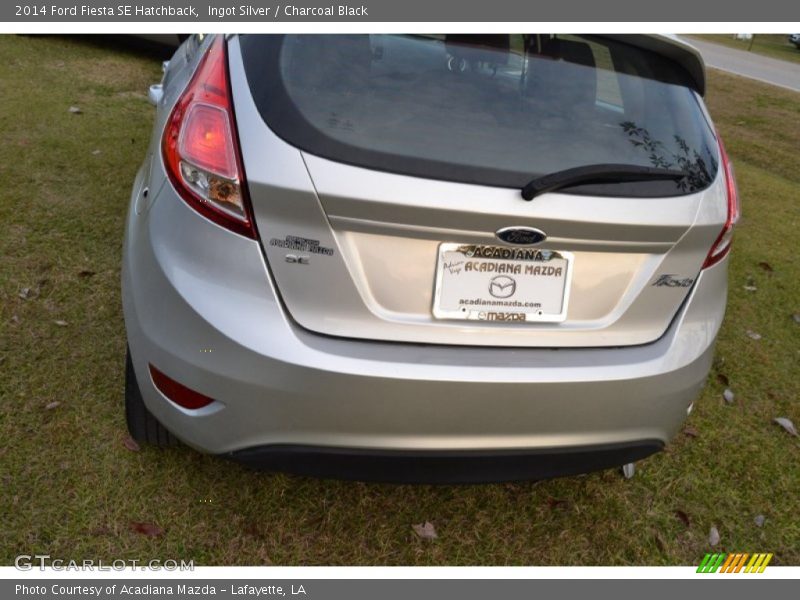 Ingot Silver / Charcoal Black 2014 Ford Fiesta SE Hatchback