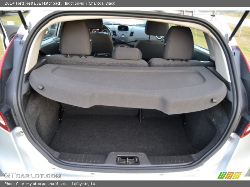 Ingot Silver / Charcoal Black 2014 Ford Fiesta SE Hatchback
