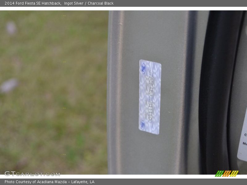 Ingot Silver / Charcoal Black 2014 Ford Fiesta SE Hatchback