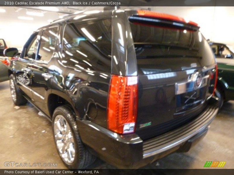 Black Ice / Cashmere/Cocoa 2010 Cadillac Escalade Premium AWD