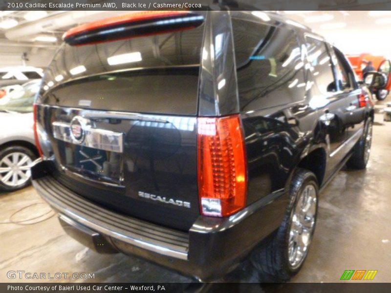 Black Ice / Cashmere/Cocoa 2010 Cadillac Escalade Premium AWD