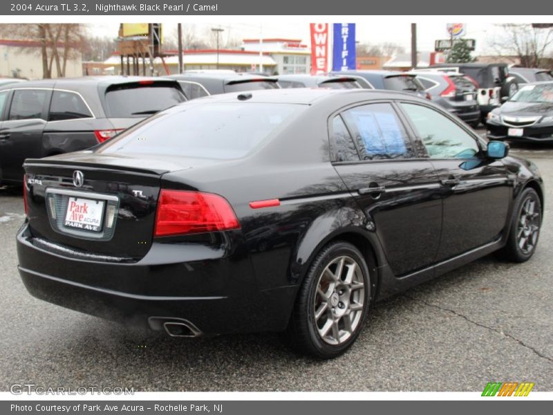 Nighthawk Black Pearl / Camel 2004 Acura TL 3.2
