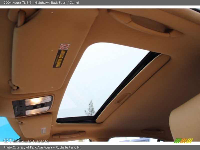 Nighthawk Black Pearl / Camel 2004 Acura TL 3.2