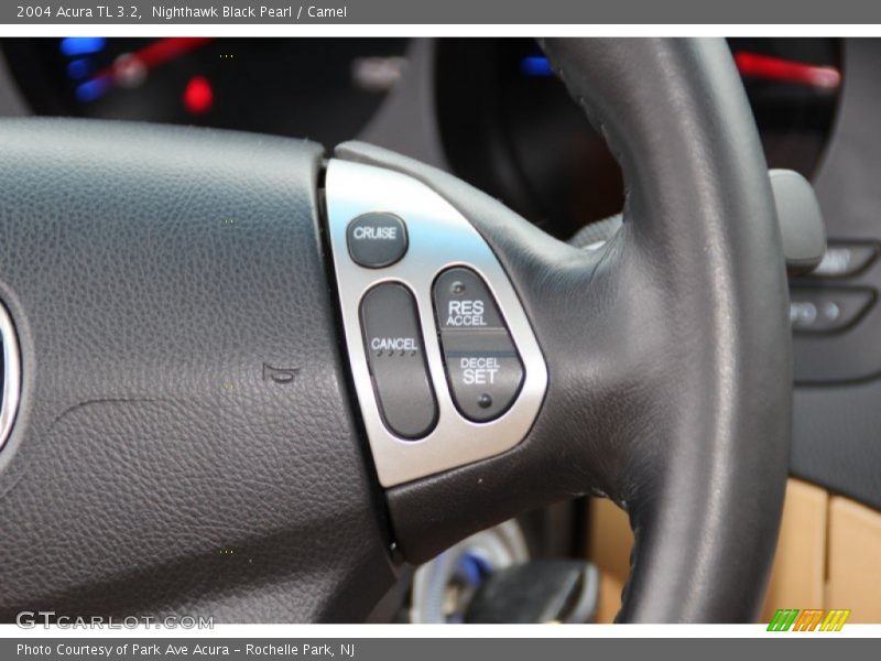 Nighthawk Black Pearl / Camel 2004 Acura TL 3.2