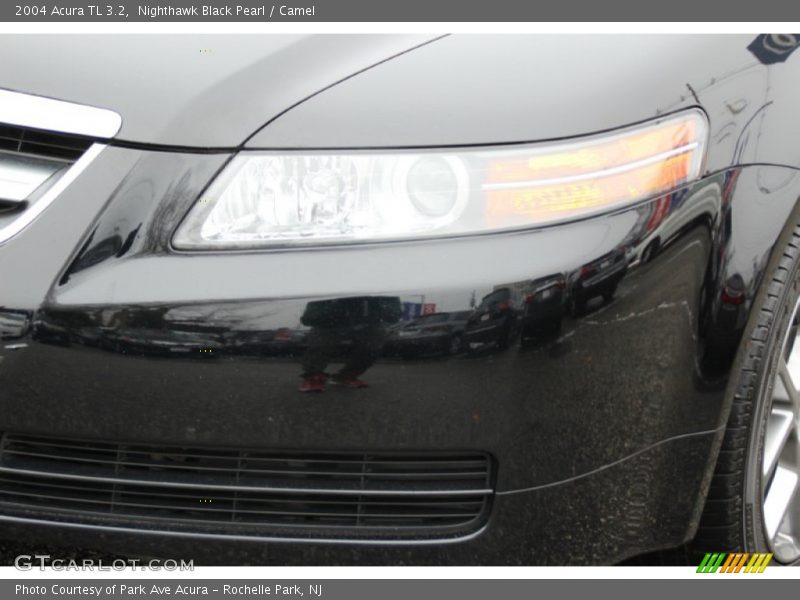 Nighthawk Black Pearl / Camel 2004 Acura TL 3.2