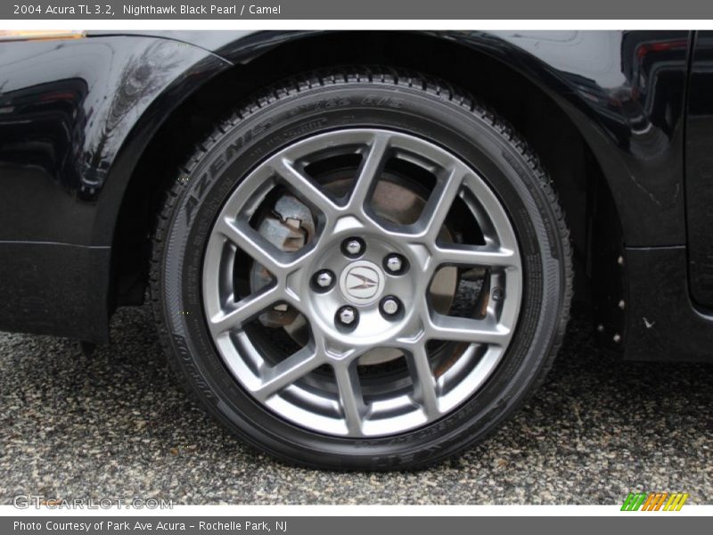 Nighthawk Black Pearl / Camel 2004 Acura TL 3.2