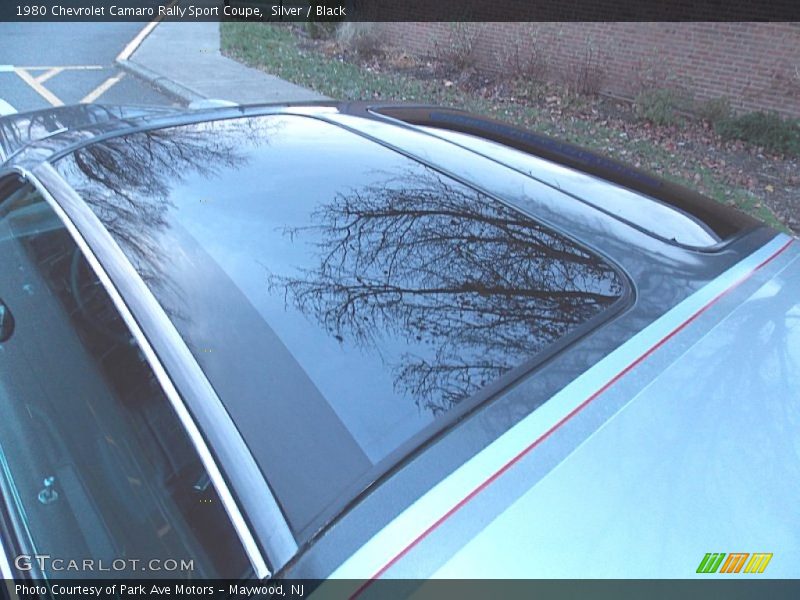 Silver / Black 1980 Chevrolet Camaro Rally Sport Coupe