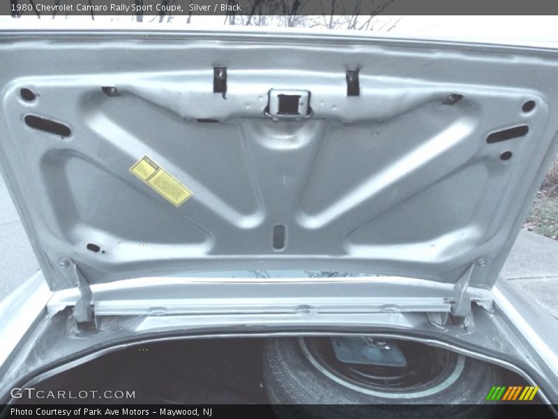  1980 Camaro Rally Sport Coupe Trunk