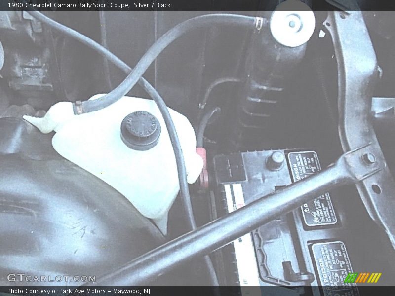 Silver / Black 1980 Chevrolet Camaro Rally Sport Coupe