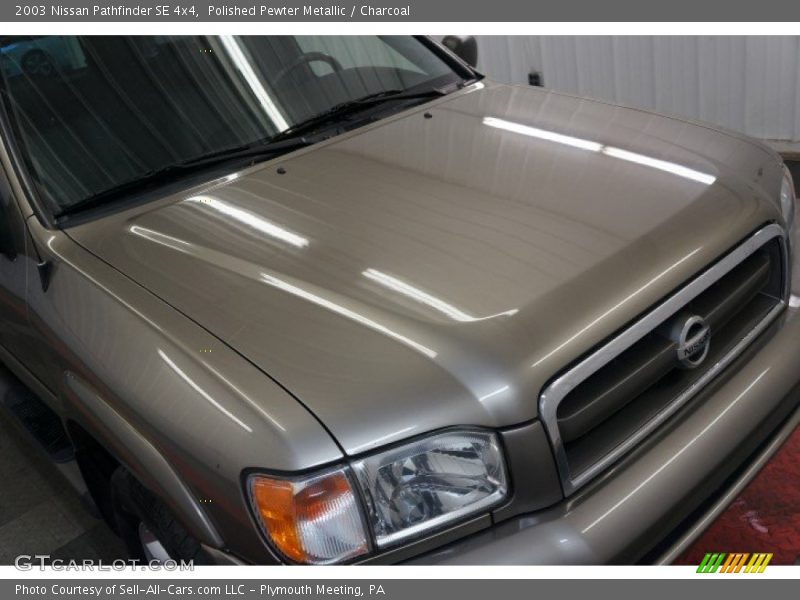 Polished Pewter Metallic / Charcoal 2003 Nissan Pathfinder SE 4x4