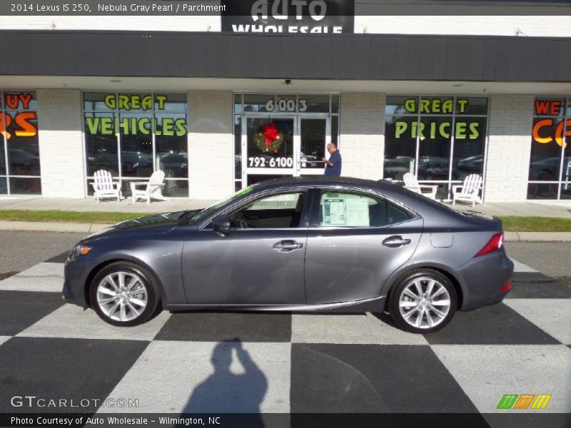 Nebula Gray Pearl / Parchment 2014 Lexus IS 250