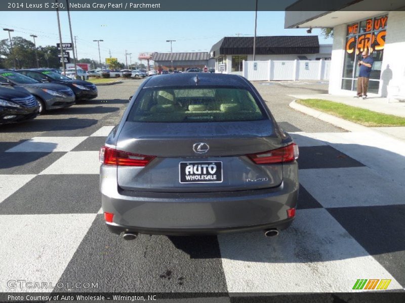 Nebula Gray Pearl / Parchment 2014 Lexus IS 250