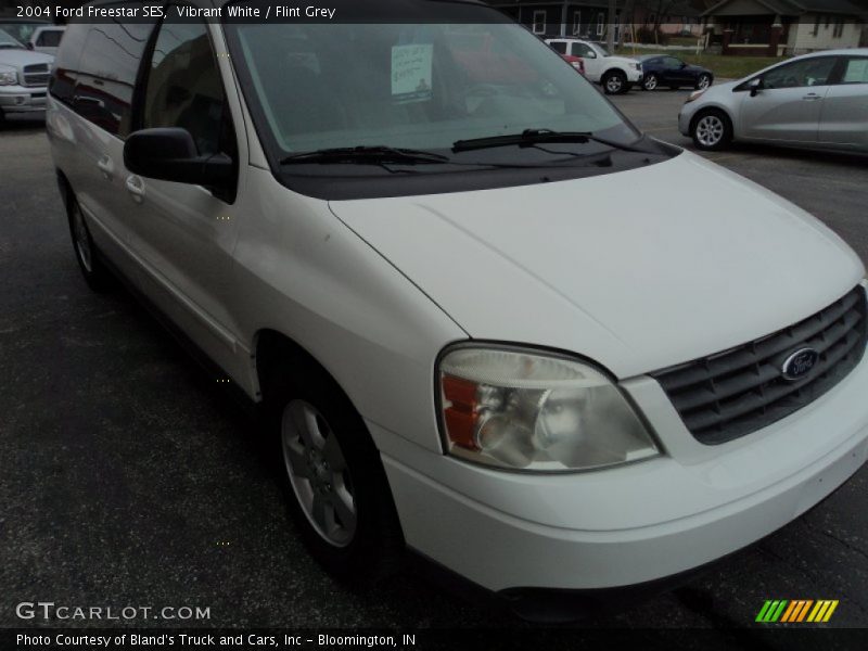 Vibrant White / Flint Grey 2004 Ford Freestar SES