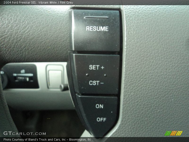 Vibrant White / Flint Grey 2004 Ford Freestar SES