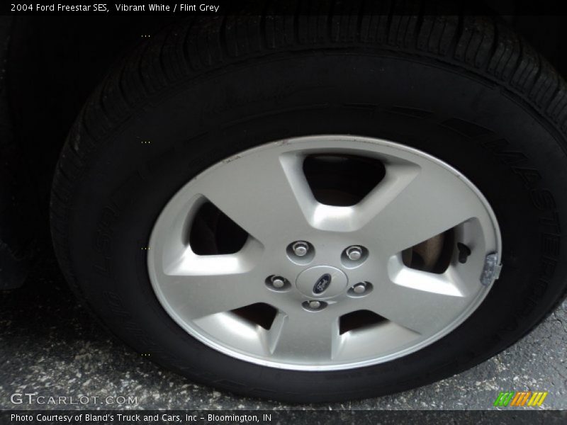Vibrant White / Flint Grey 2004 Ford Freestar SES