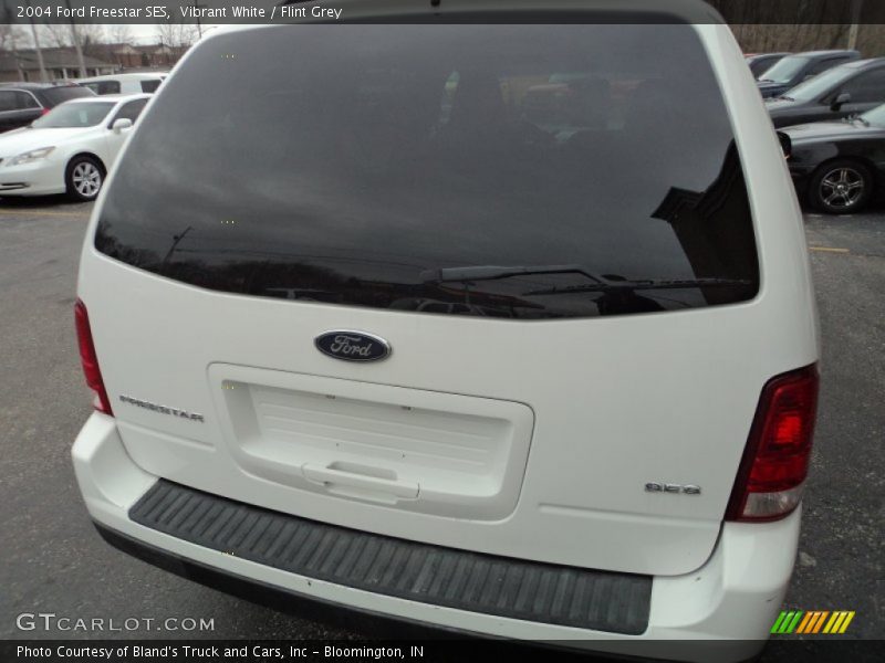 Vibrant White / Flint Grey 2004 Ford Freestar SES