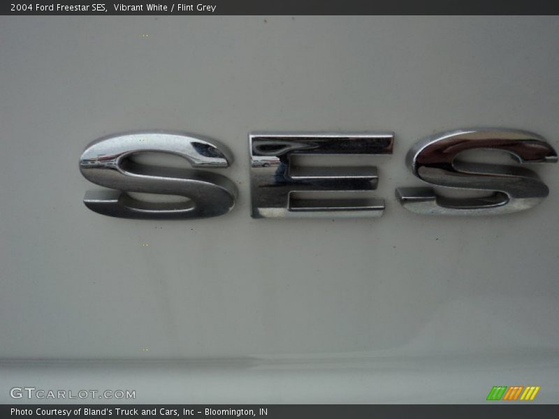 Vibrant White / Flint Grey 2004 Ford Freestar SES