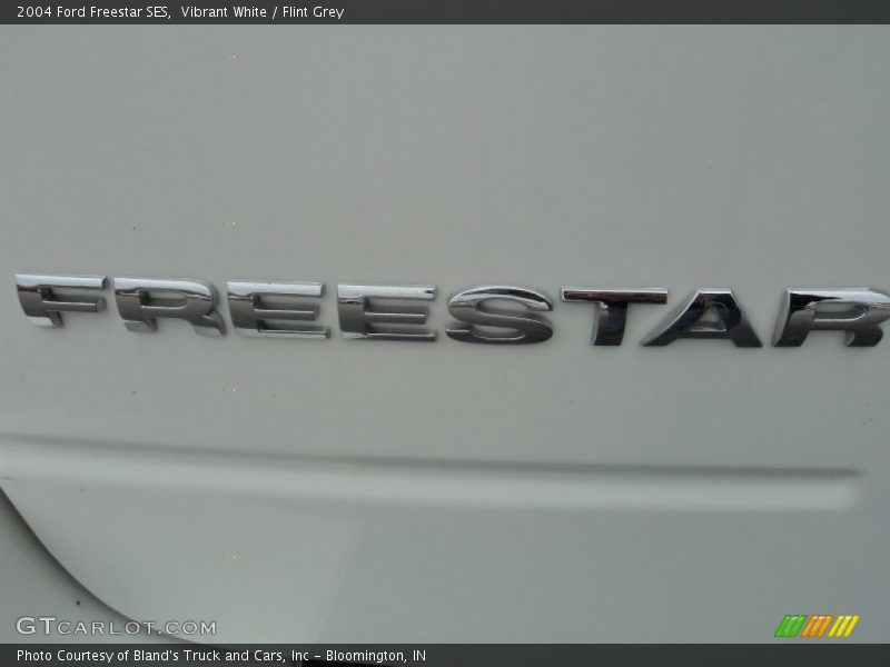 Vibrant White / Flint Grey 2004 Ford Freestar SES