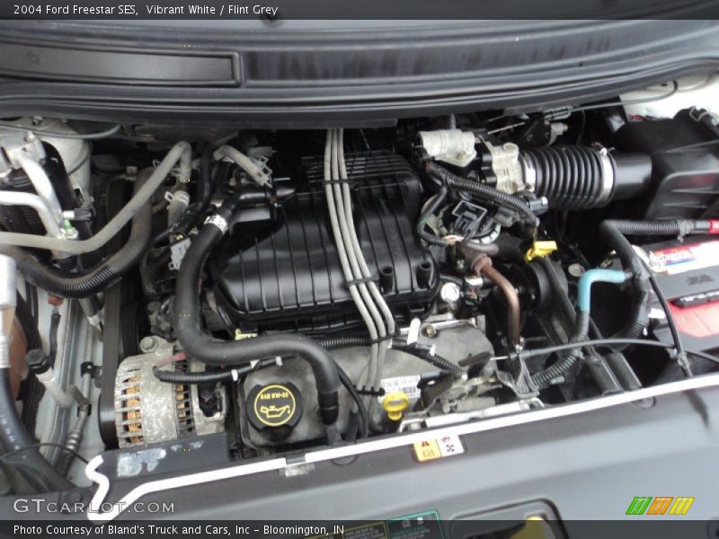 Vibrant White / Flint Grey 2004 Ford Freestar SES