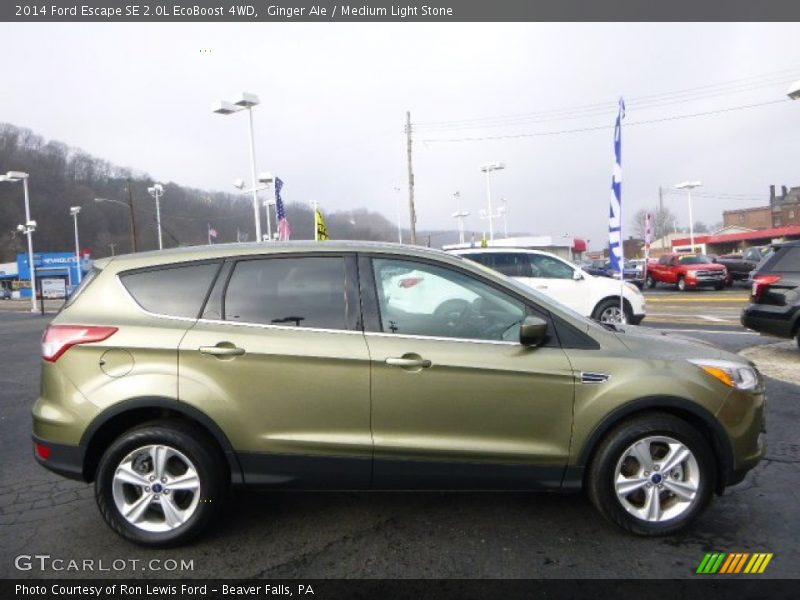 Ginger Ale / Medium Light Stone 2014 Ford Escape SE 2.0L EcoBoost 4WD