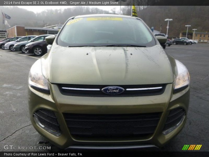Ginger Ale / Medium Light Stone 2014 Ford Escape SE 2.0L EcoBoost 4WD