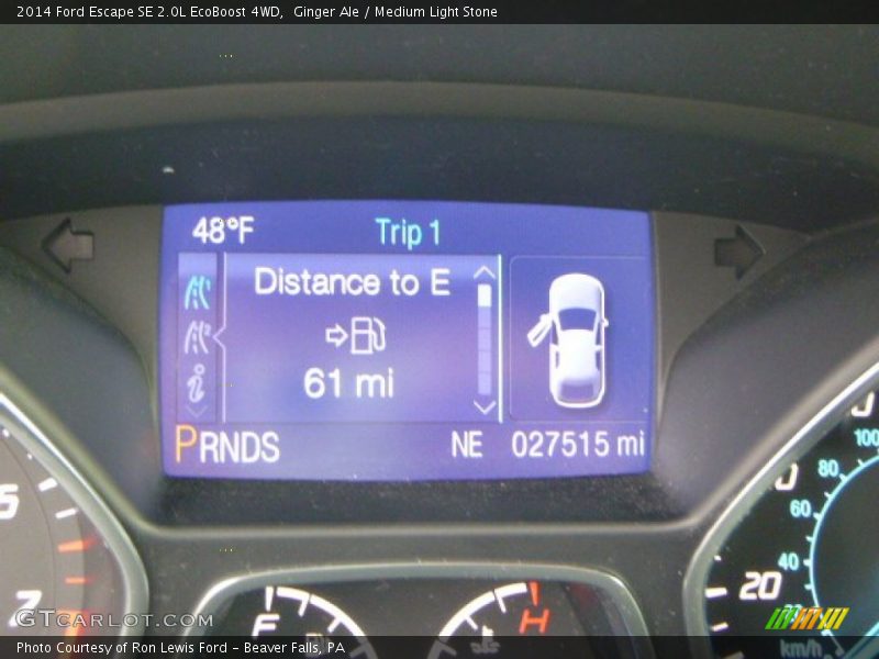 Ginger Ale / Medium Light Stone 2014 Ford Escape SE 2.0L EcoBoost 4WD