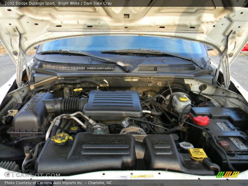 Bright White / Dark Slate Gray 2002 Dodge Durango Sport