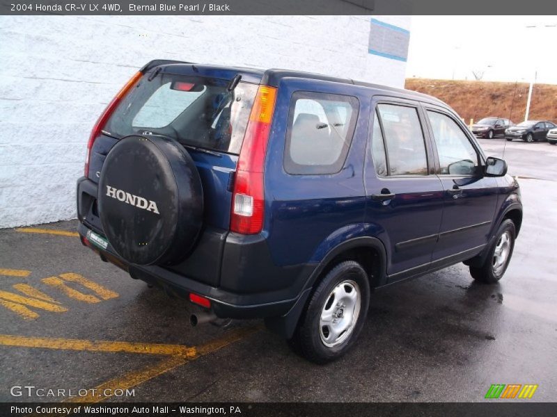 Eternal Blue Pearl / Black 2004 Honda CR-V LX 4WD