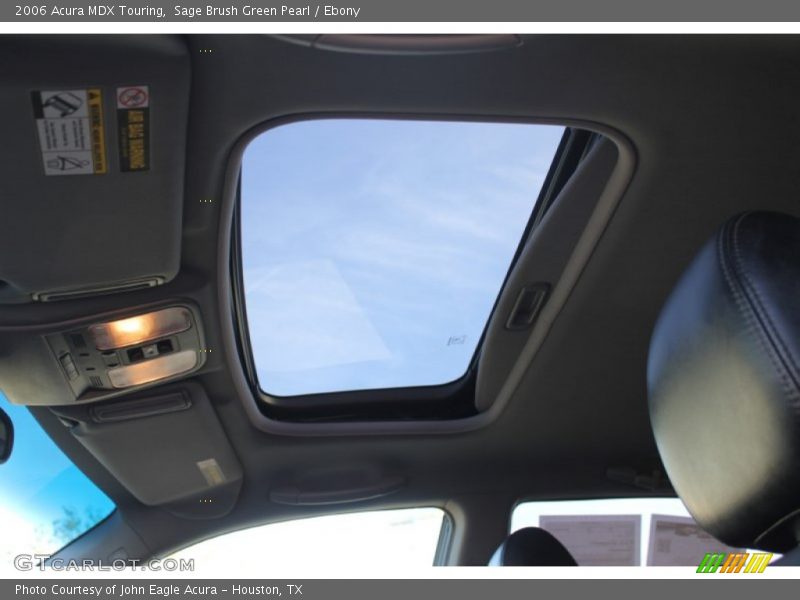 Sage Brush Green Pearl / Ebony 2006 Acura MDX Touring