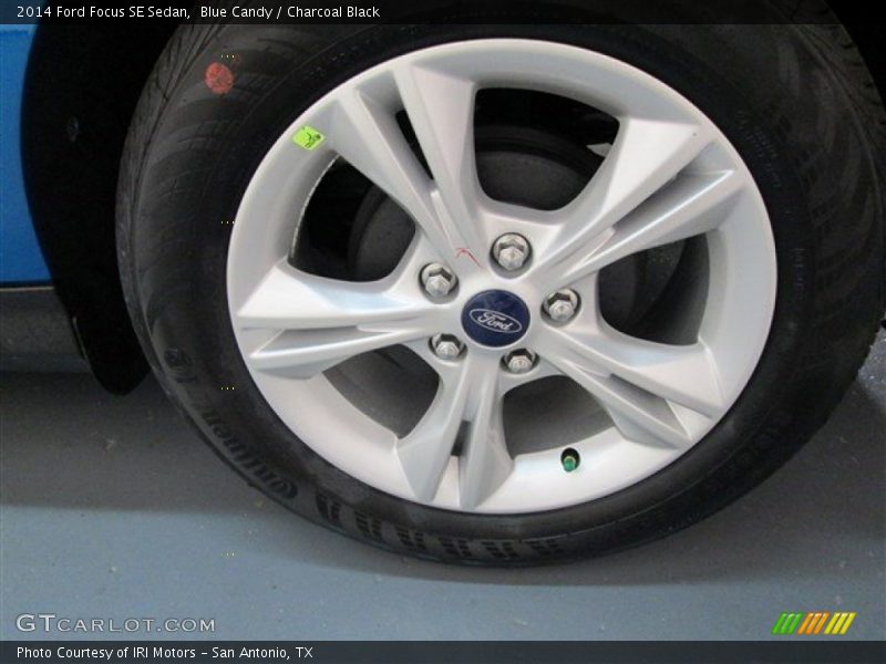 Blue Candy / Charcoal Black 2014 Ford Focus SE Sedan