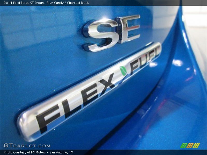 Blue Candy / Charcoal Black 2014 Ford Focus SE Sedan