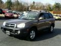 Mocha Frost - Santa Fe GLS 4WD Photo No. 2