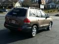 Mocha Frost - Santa Fe GLS 4WD Photo No. 6
