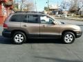 Mocha Frost - Santa Fe GLS 4WD Photo No. 7