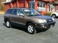 Mocha Frost - Santa Fe GLS 4WD Photo No. 8