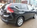 Crystal Black Pearl - CR-V EX 4WD Photo No. 12
