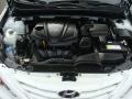 Shimmering White - Sonata GLS Photo No. 29