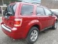 Sangria Red Metallic - Escape Limited V6 4WD Photo No. 6