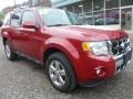 Sangria Red Metallic - Escape Limited V6 4WD Photo No. 13